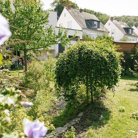 Ferienwohnung Am Breyer Talbach Esterno foto